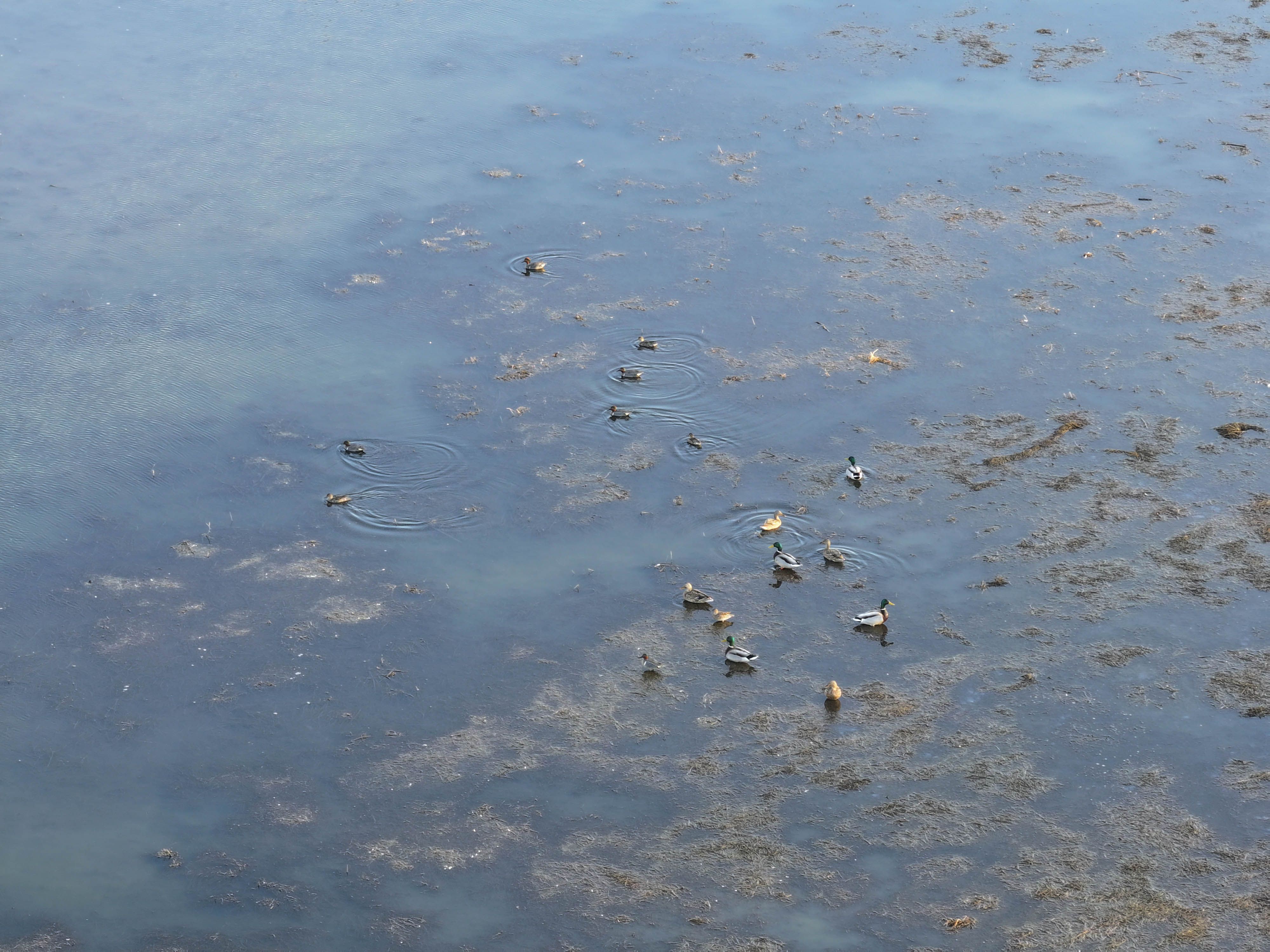 Listing Photo: Johnson County Recreational Farm For Sale-33